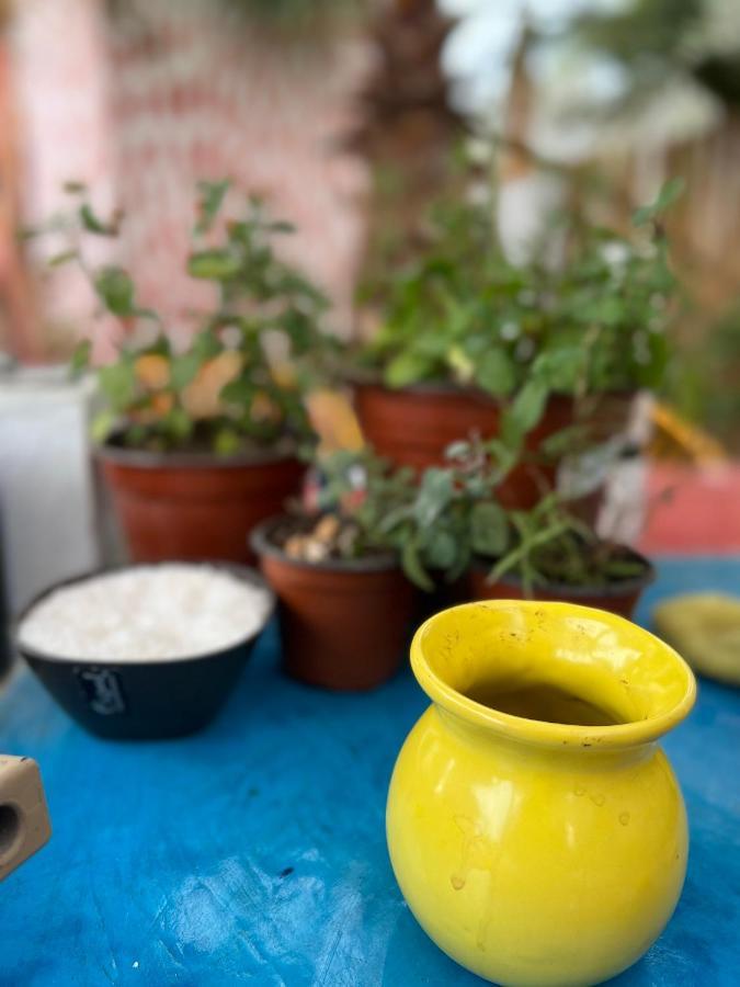 Hostel La Sardina Todos Santos Zewnętrze zdjęcie